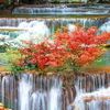 imtiazali79658