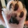furrygrisly2