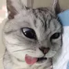 linhhyeuoi_09