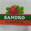 sandrochavesdesou