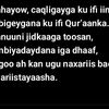 zadamkayow