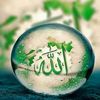 noman.ali.noman.a606