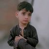 alidogar295295