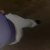 lyloo_spam1
