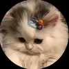 meowmeow_237_