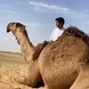 راع الهدبا