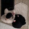 islamicprincess513