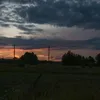 dalik891014