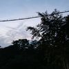 susikal6