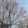 karikano_0419