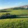 mouselmi20