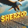sher.x2002