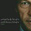 zaitoon.alam
