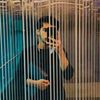 moiz_shah_46