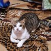 userindrawati_2023