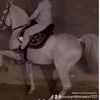 youssefelhenawy4321