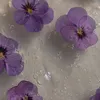 ...tanya_2002