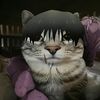 noa_5377