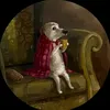 fleabag1st