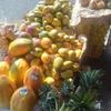 margaritagarcia4037