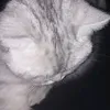 xgcoyzduz