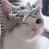 eve.xxstar
