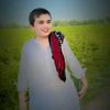 bhandshab06