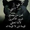 user76682hi2t6