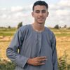 mohsen.mokhtar1