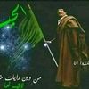 user7803281006711