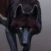 shadow_wolf030