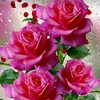 user7xrdidcl8y