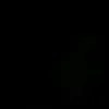 090313trong