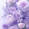 fatima_n103