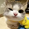 hihahoh5