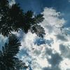 bocilkecil_1mtr