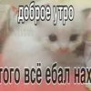 leshiy_lexa_280