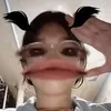 susuplayne