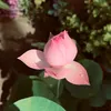 hunh.anh942