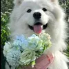 tuan7890789us