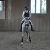 samantha.fsz