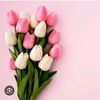 iam_beby1998