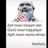user2420353060145