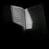 quraan50r