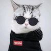 user598qkhkxrs