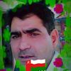 mehboob.naaz8013