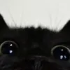 _zxyinnn_