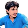 shah1wali