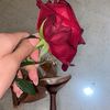 ghofrane_gk