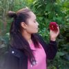 bipanabashyal513